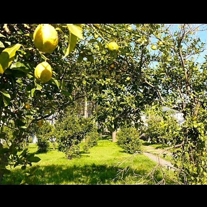 B&B Casa Maria Vittoria