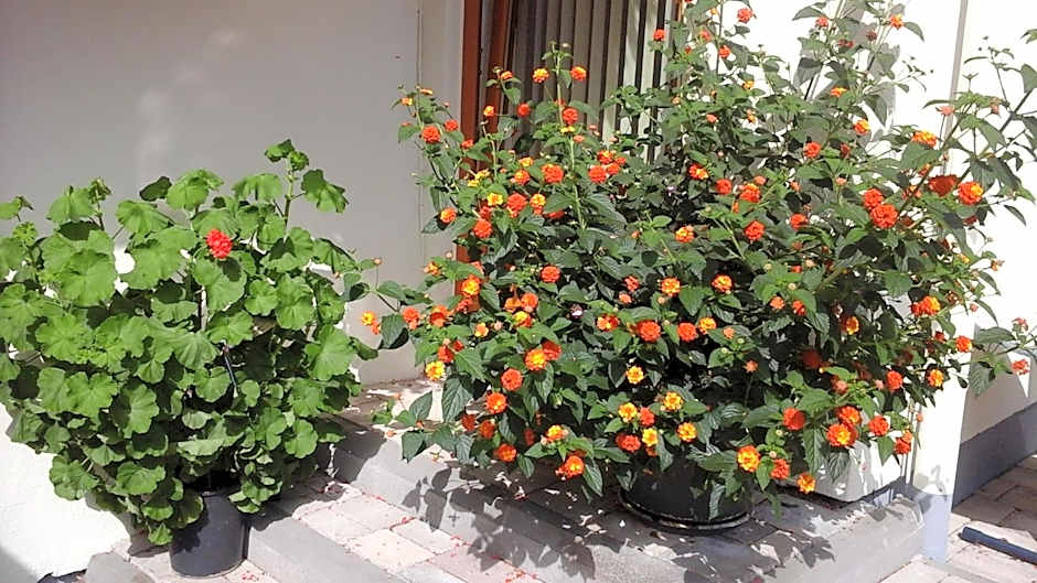 Hotel UNTERKRÄMERHOF