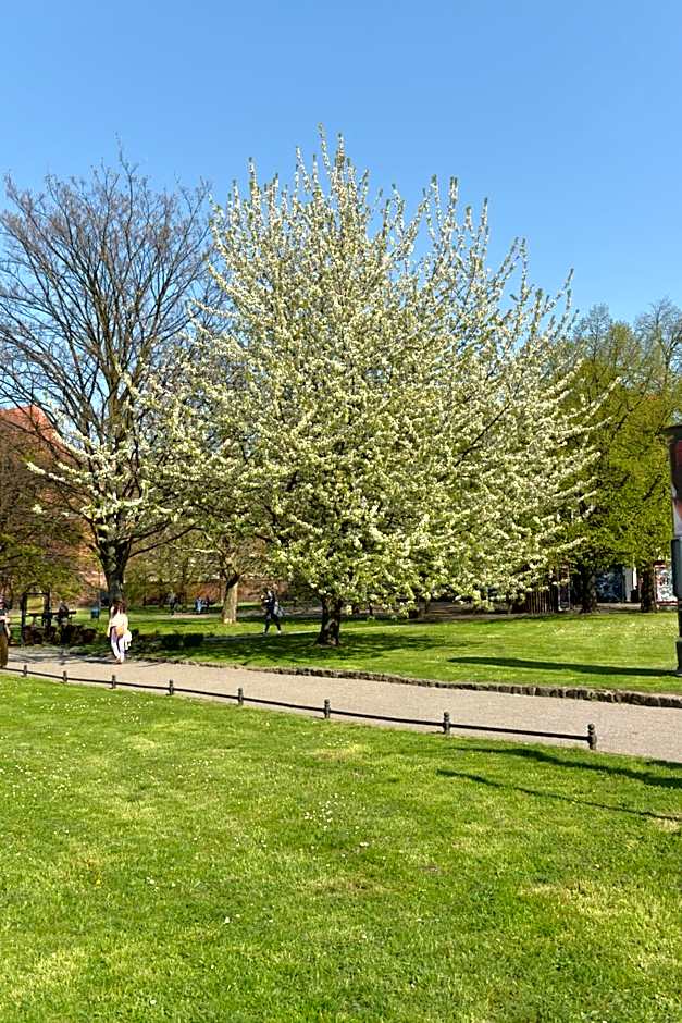 Five Point Hostel & Apartments