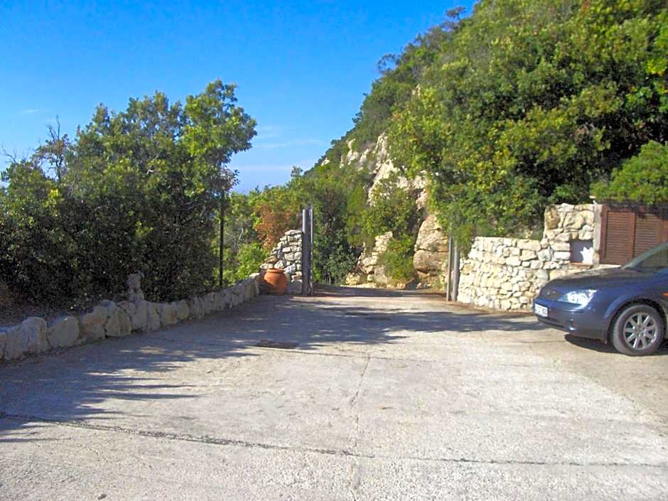 Cota Quinta