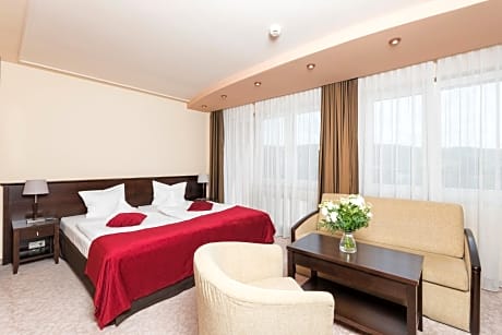 Superior Twin Room with City View