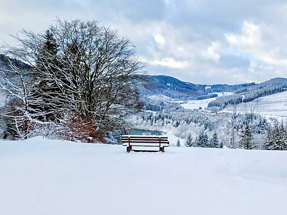 Panorama Hotel Winterberg
