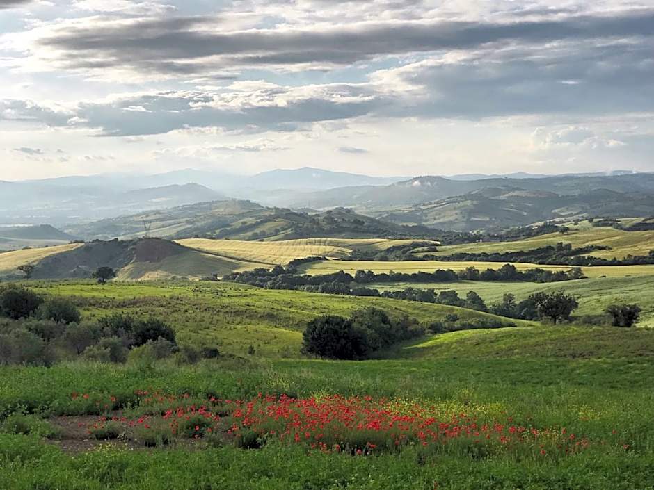 Tenuta Fattoria Vecchia