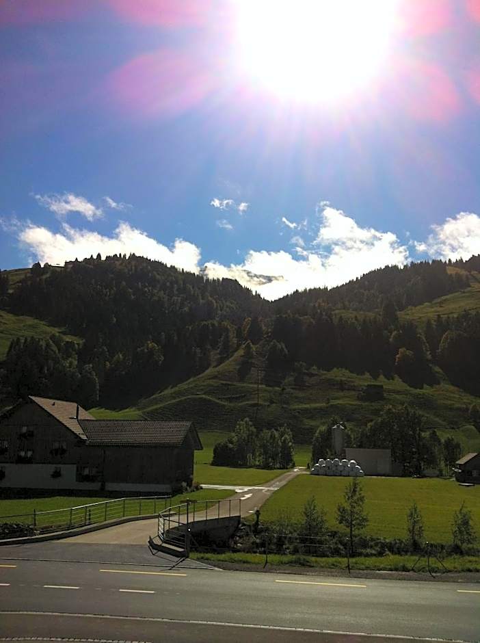 Hotel Alpina