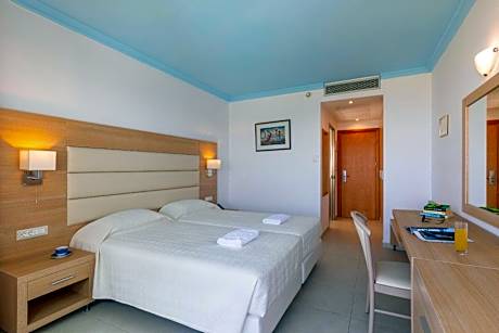 Superior Twin Room with Land View