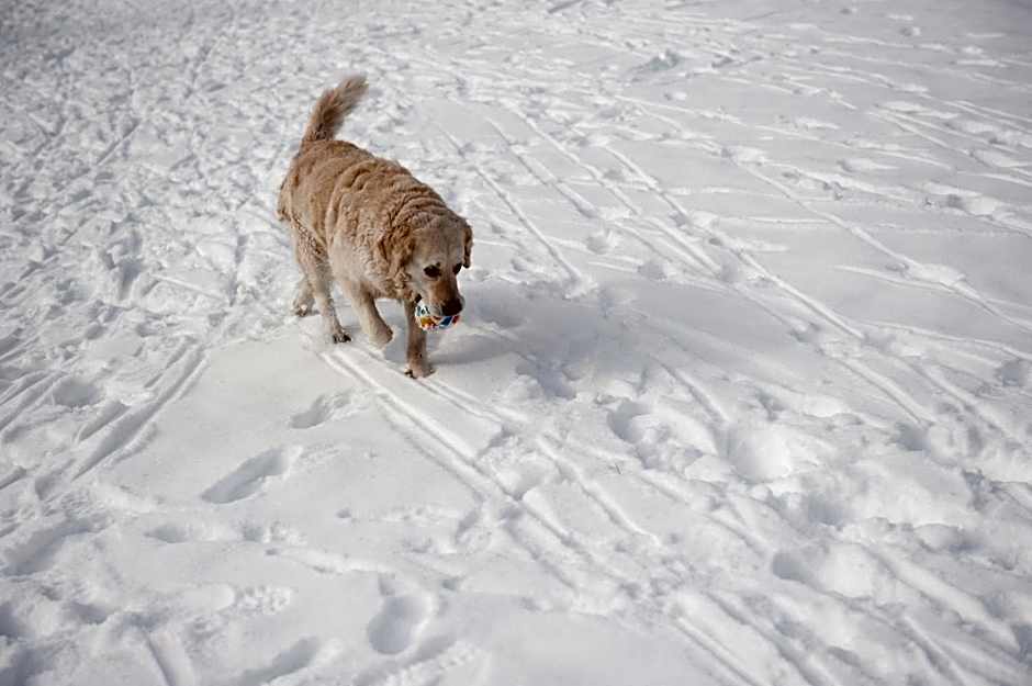 Ortners Eschenhof - Alpine Slowness