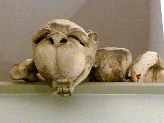 Le Jardin de la Reyssouze