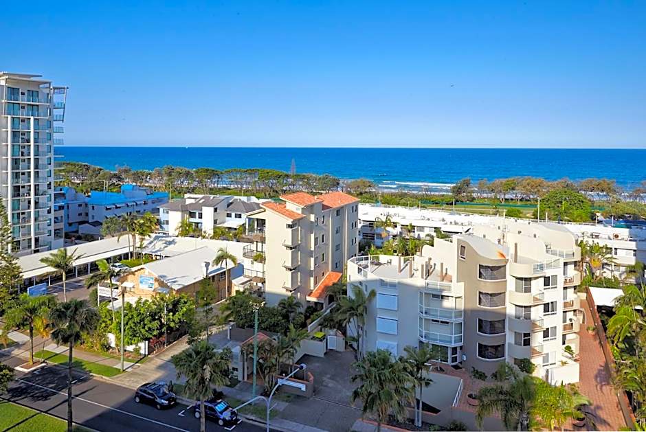 Verve on Cotton Tree