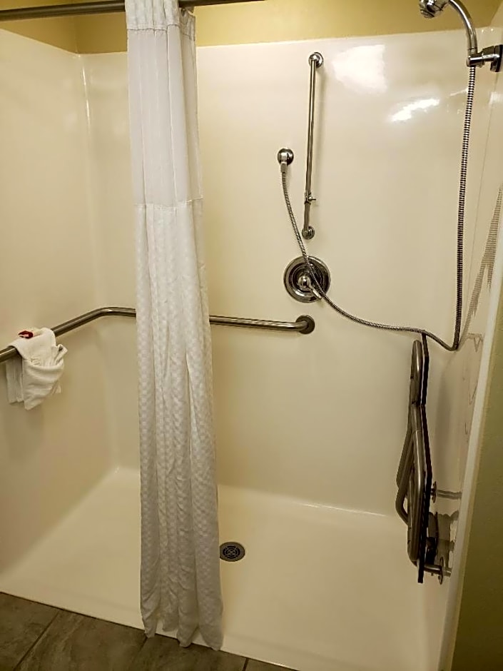Microtel Inn & Suites by Wyndham Starkville