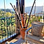 Hotel Rural Los Jarales
