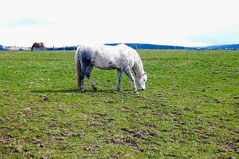 Le Bernister parking privé