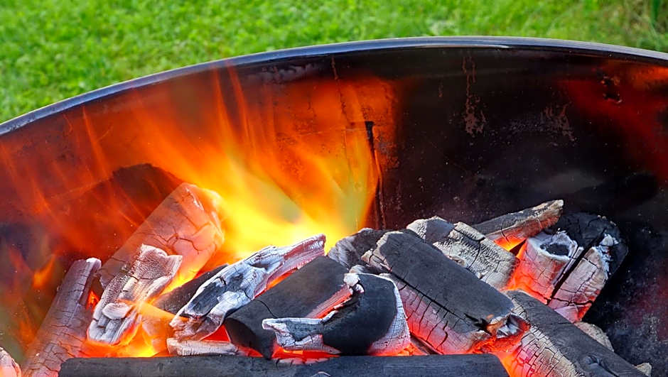 The Zen Hotel Palo Alto