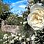 Santoro Country House