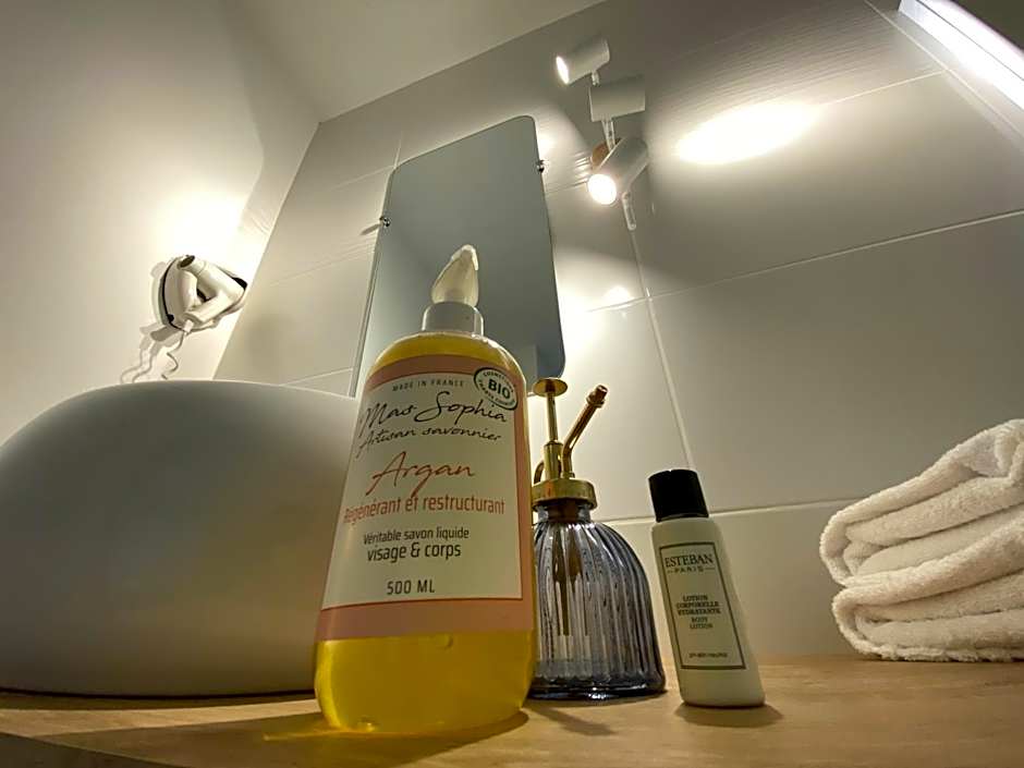 Logis Hotel Medieval, Montelimar Nord