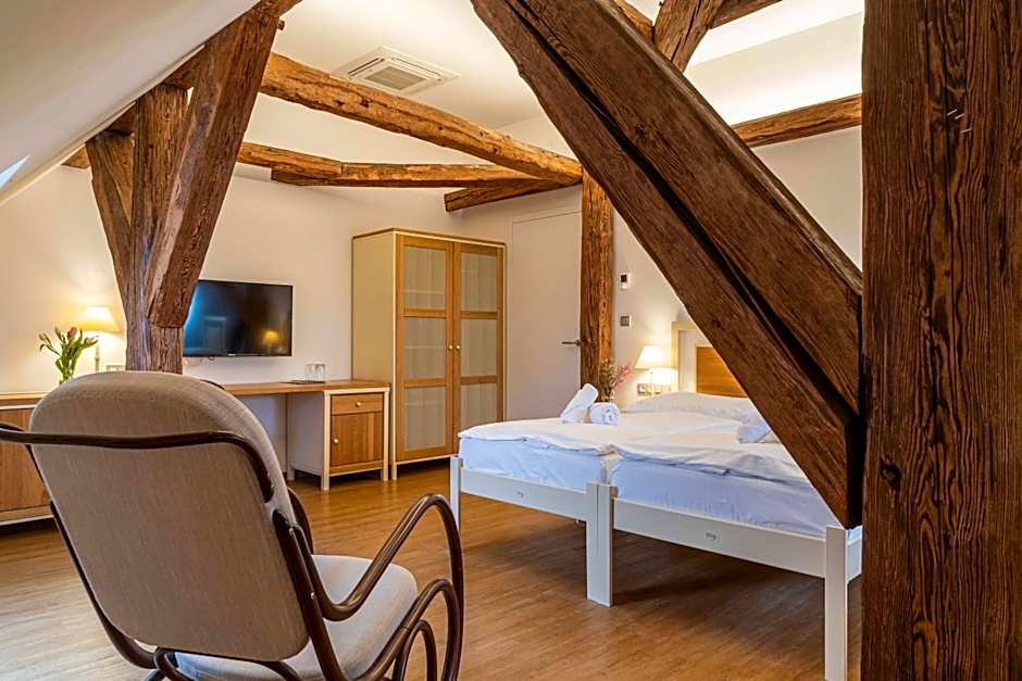 Hotel Zámek Svijany