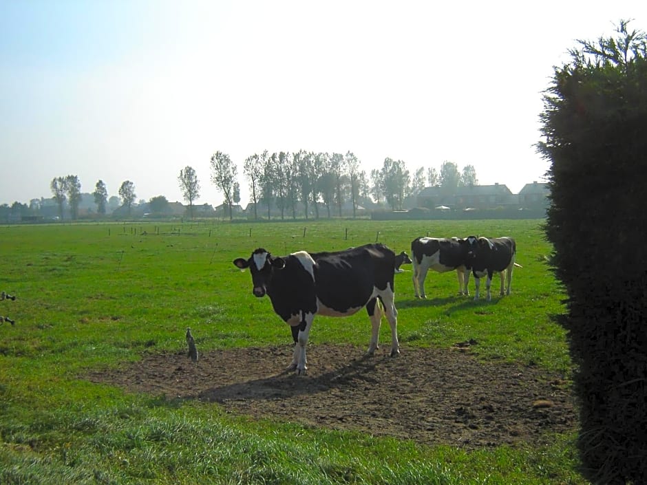 B&B De Kleine Prins