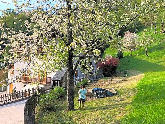 B&B Maso Zont Antico Maso