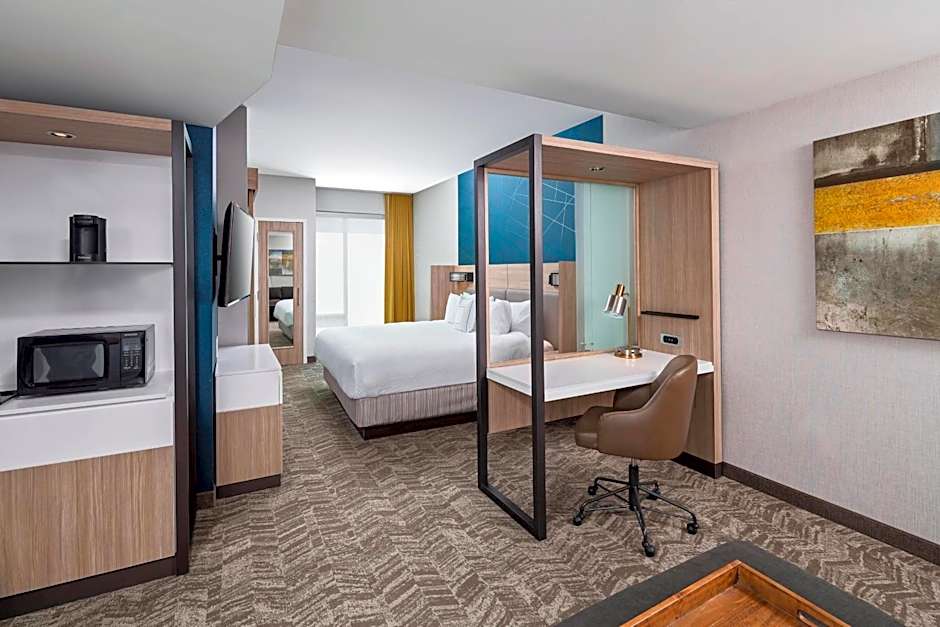 SpringHill Suites by Marriott Greenville Downtown