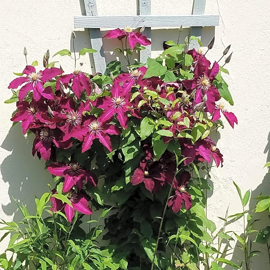 Eden's Rest Bed and Breakfast