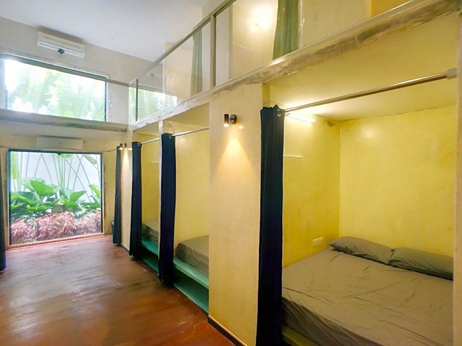 Beds In Garden Hostel