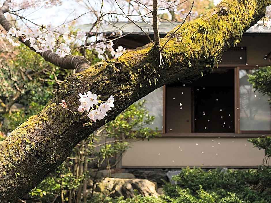 Nanzenji sando KIKUSUI