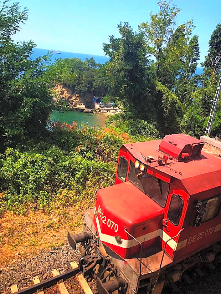 BABIZER KONAKLAMA & RESTORAN