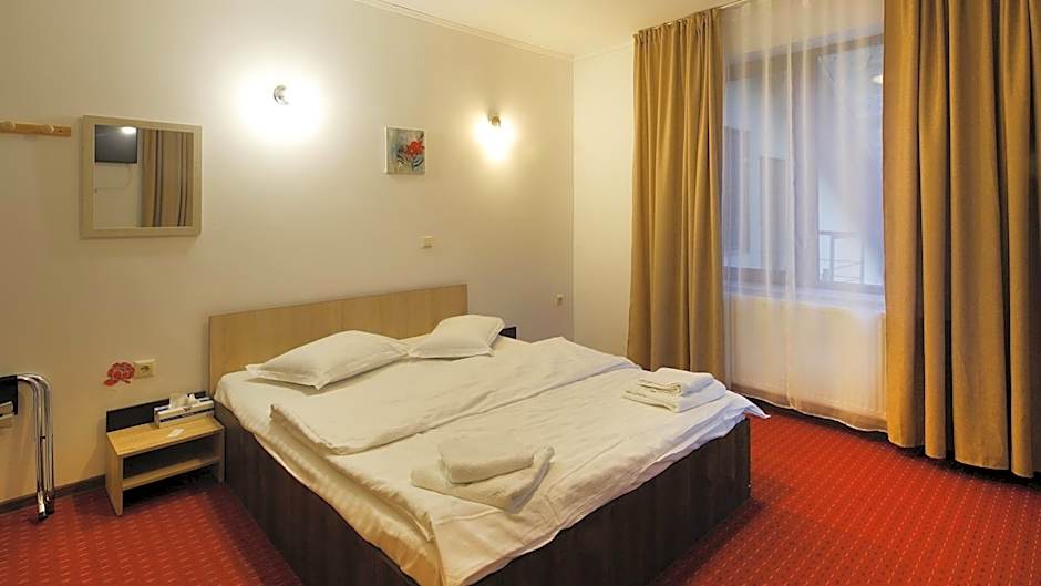 Pensiunea Montan din Bran,sat Simon SPA indoor