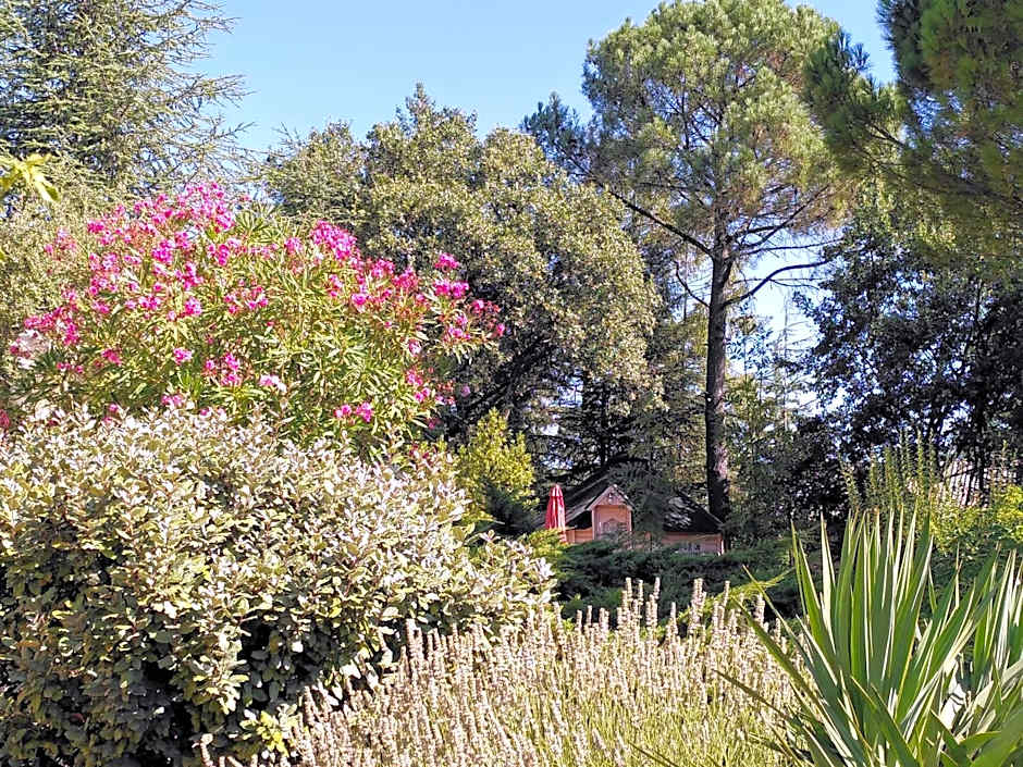 Brin d Ardèche