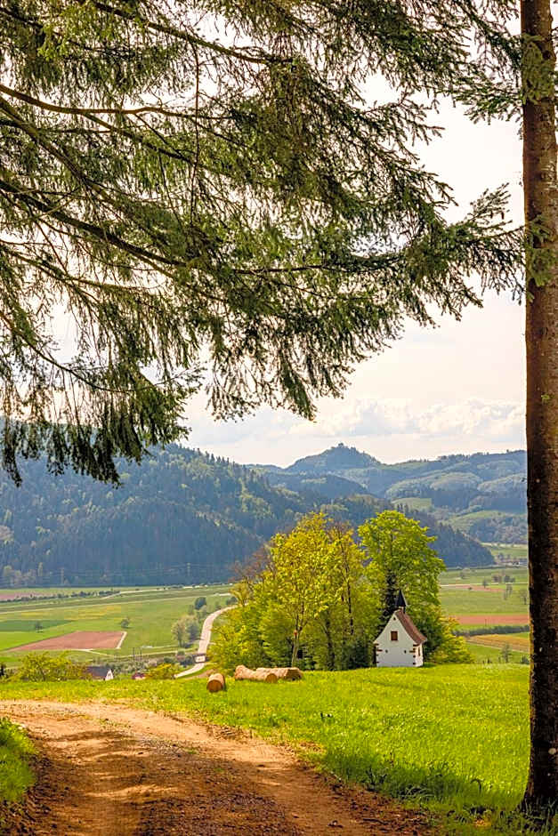 Landhotel Gasthaus zum Pflug