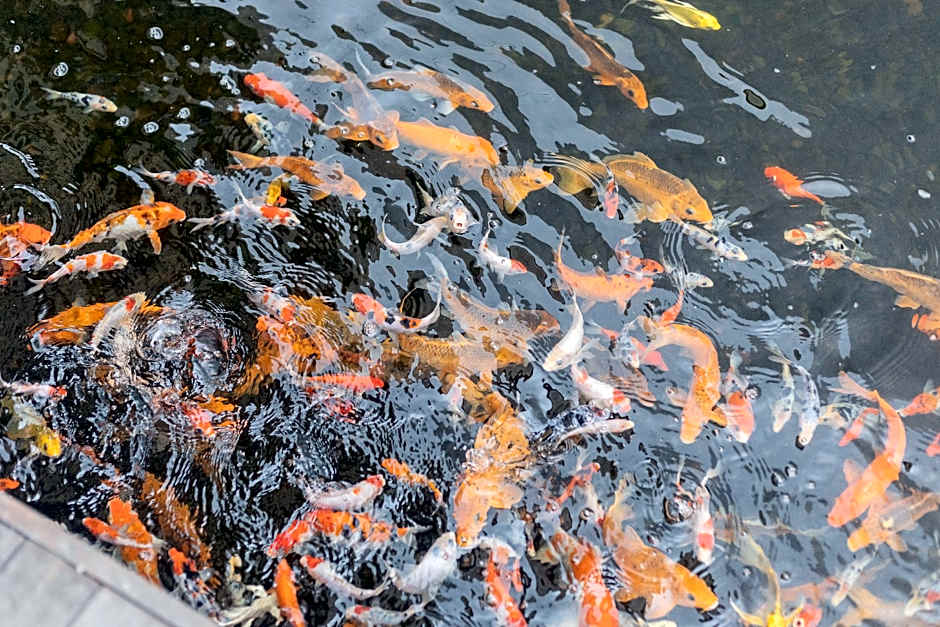 Taman Mesari Luxury Villas-Seminyak