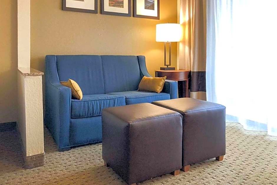 Vista Suites near Leconte Convention Center