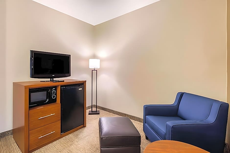 Comfort Inn & Suites IAH Bush Airport - East
