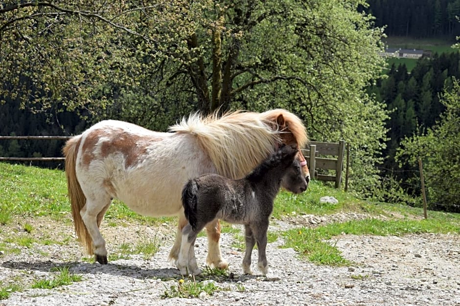 Ferienhaus Schleinzer