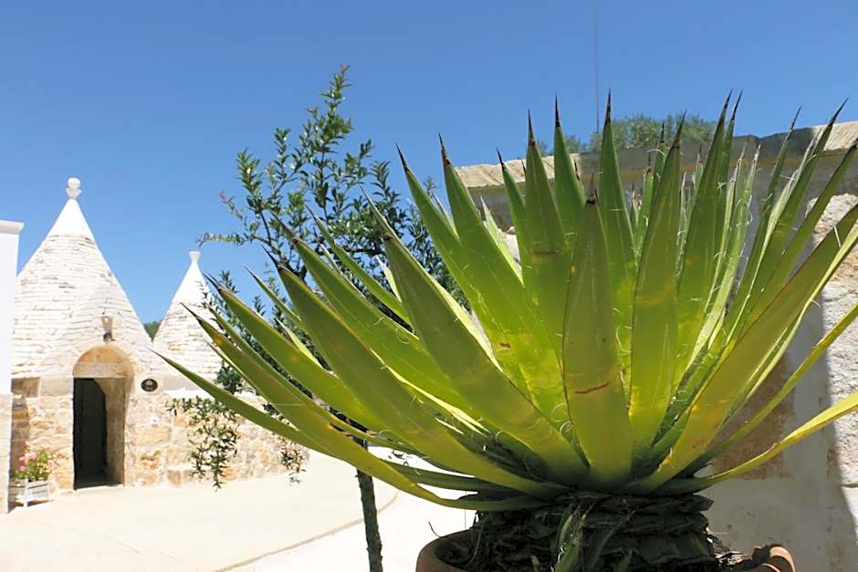 Residence Spadalunga