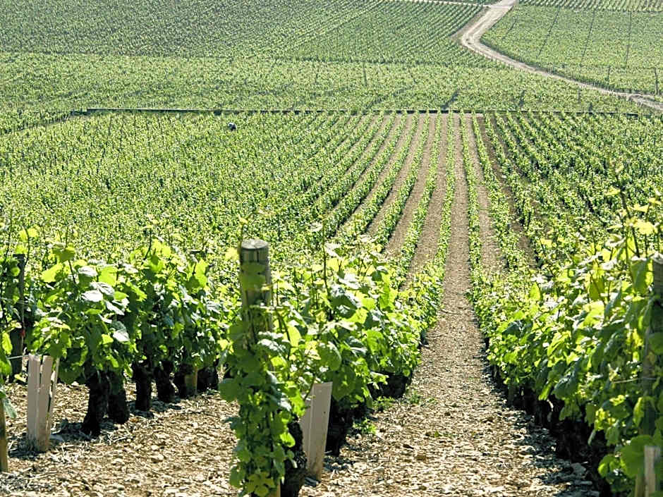 Novotel Dijon Route des Grands Crus