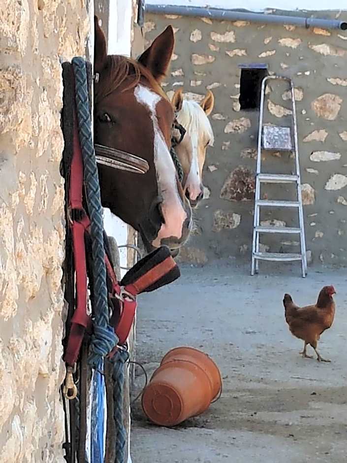 Ranch de Sidi kaouki