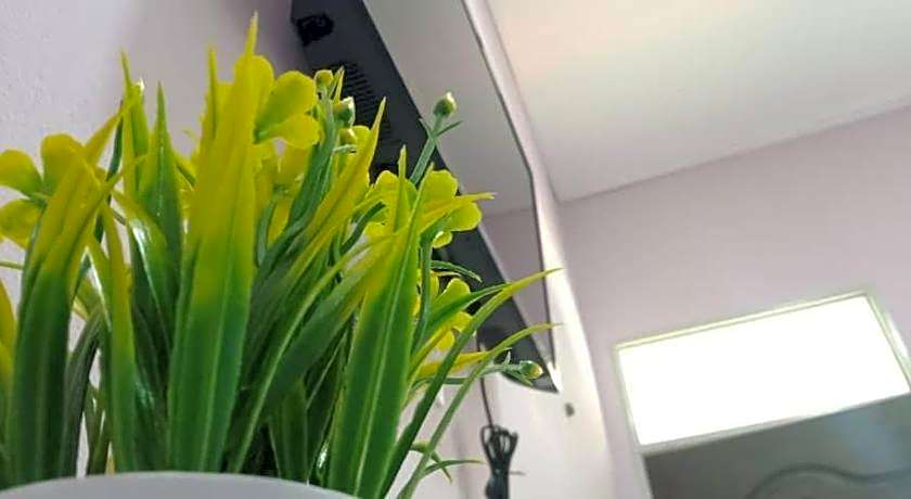 D'EMBUN INAP DESA BESUT