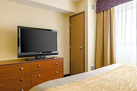 1 King Bed, Suite, Nonsmoking