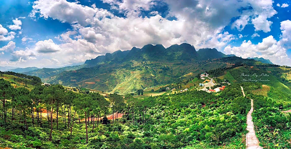 The Art - Golden Jungle House – Ha Giang, GA