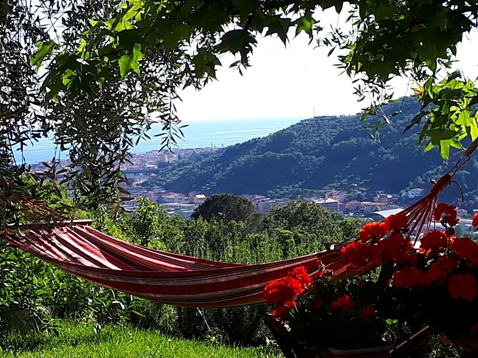 La gatta sul sentiero