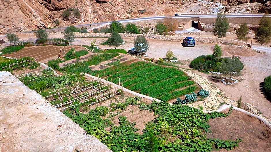 Auberge Le Festival Todra Gorge