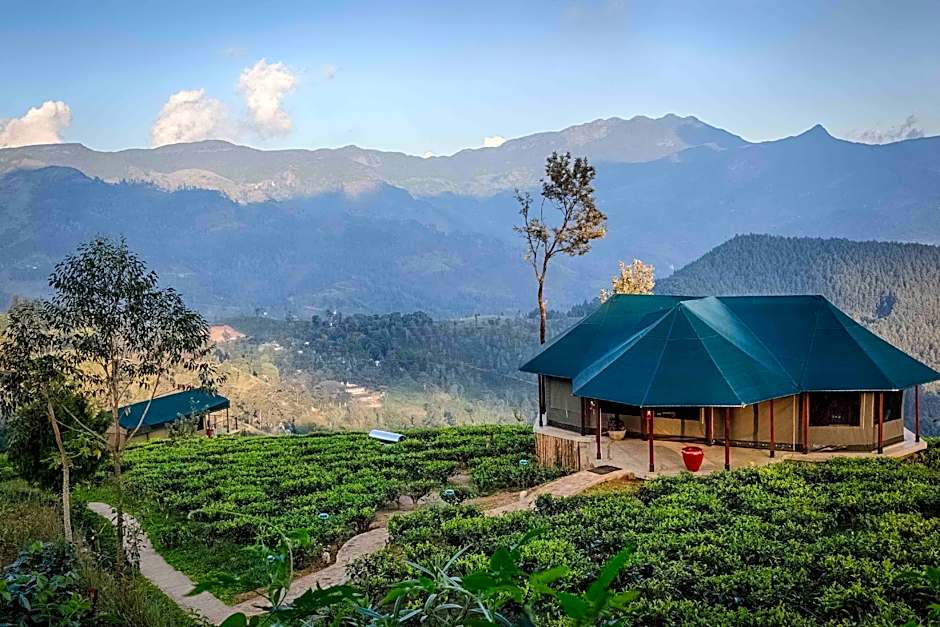 Madulkelle Tea and Eco Lodge