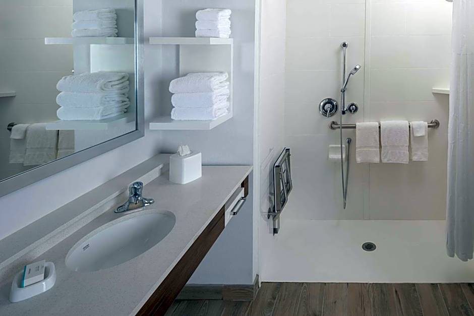 Hampton Inn By Hilton & Suites-Asheville Biltmore Village, NC