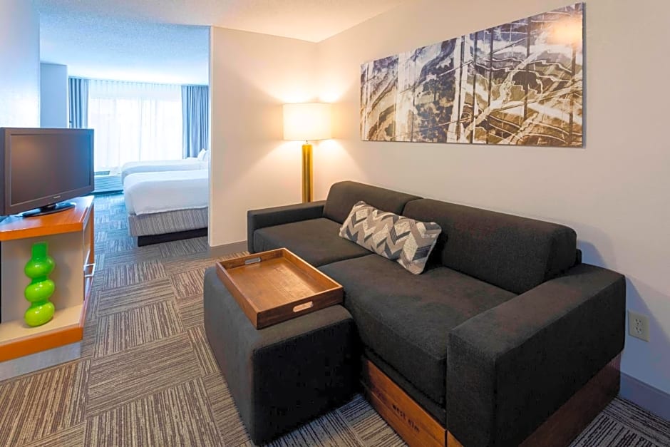 SpringHill Suites by Marriott Rochester Mayo Clinic Area/Saint Marys