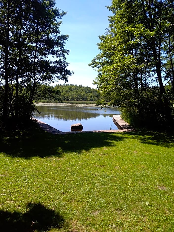 Niezapominajka Kopalino