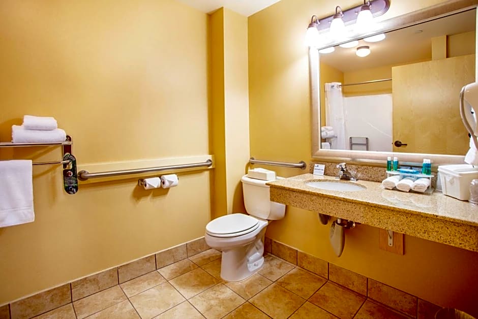 Holiday Inn Express Hotel & Suites Richland