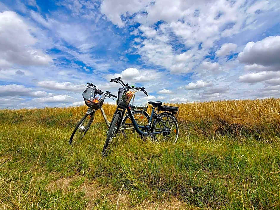 Hôtel du Château Bois Guibert