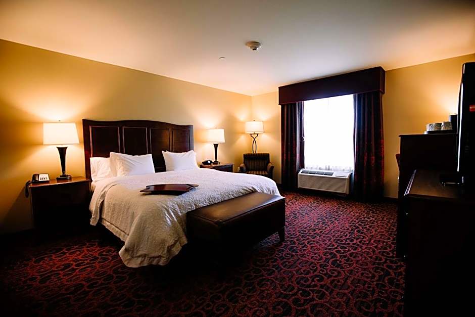 Hampton Inn By Hilton & Suites Minot