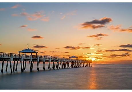 Discover the Charm and the Sea Gardens, an Exceptional Gold Coast Studio Condo Retreat - Special Offer Now!