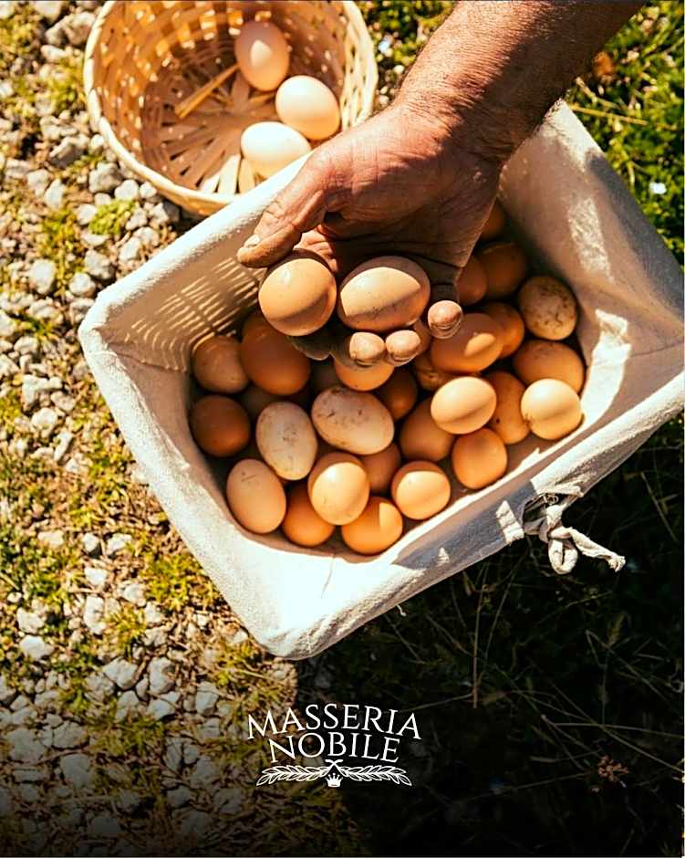 Masseria Nobile Relais